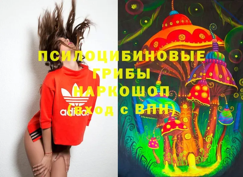 Галлюциногенные грибы Cubensis Дивногорск